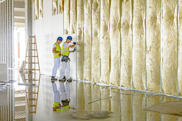 Best Insulation Maintenance and Repair in West New York, NJ